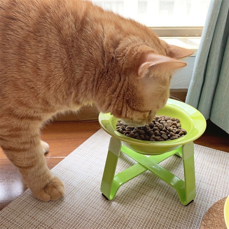 彩色陶瓷仙女猫碗铁架高脚防打翻大口浅沿护颈宠物粮食水盆,宠物/宠物食品及用品,猫狗碗/慢食碗,淘宝优惠券,粉丝福利购,淘宝优惠卷