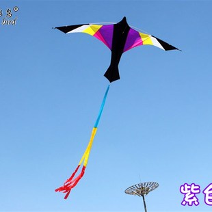 潍坊风筝 2.4米尼龙伞布火鸟风筝 蓝紫色 大风好飞 伞布面料