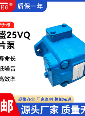 弋盛机械油泵25VQ-17/19/21/25A-1A1B1C1D-22R打包机高压叶片油泵