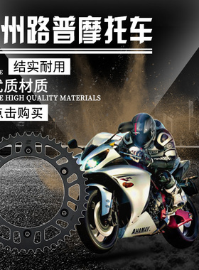 YZ125 DT200 WR200 TTR250 TT-R250 YZ250 TT600后大链盘链轮牙盘