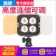 致峰ZF led摄像灯摄影补光灯外拍新闻亮度色温连续可调 3000白光版