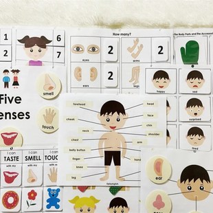 英语启蒙亲子早教 五官身体安静书单词趣味儿童游戏闪卡教师教具