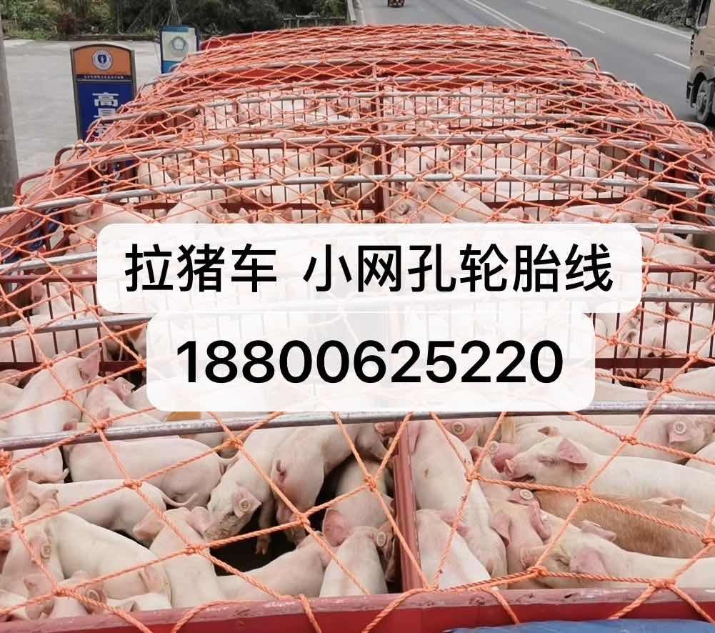 拉猪网货车网绳加粗轮胎线网安全网罩三轮车网皮卡车网子货车网绳