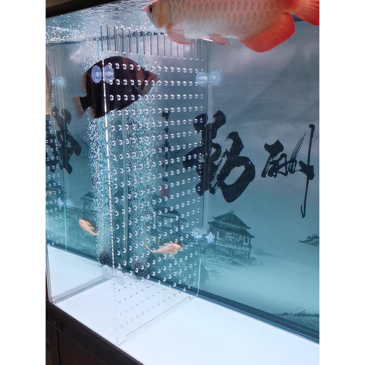 亚克力大鱼缸隔离板龙鱼虎鱼虹鱼内隔板定制高透海鲜池隔离板加厚