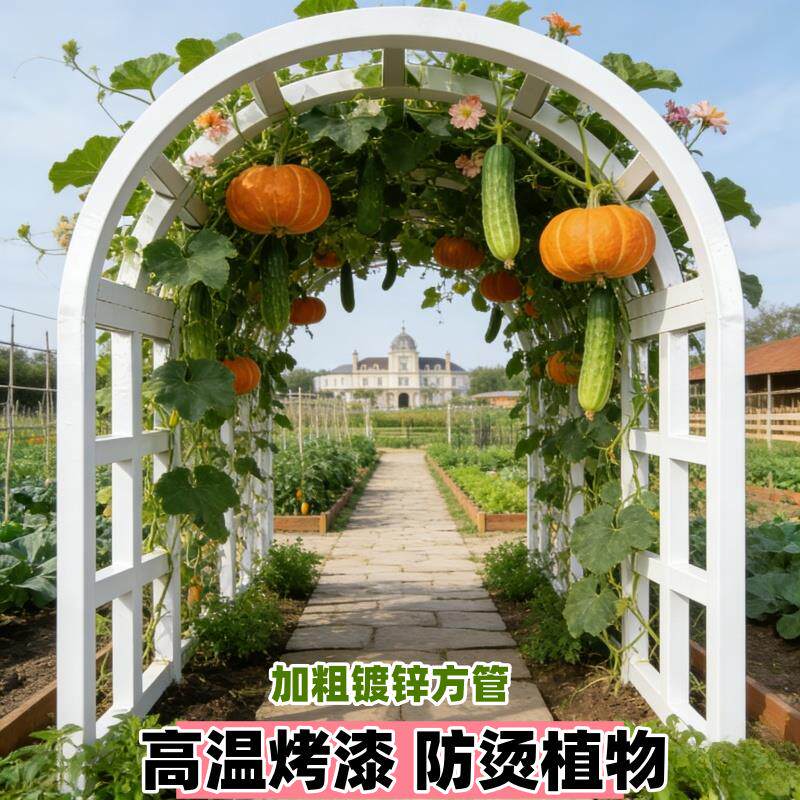 新款铁艺拱门花架圆形拱门式种植架户外庭院葡萄架花架月季爬藤架