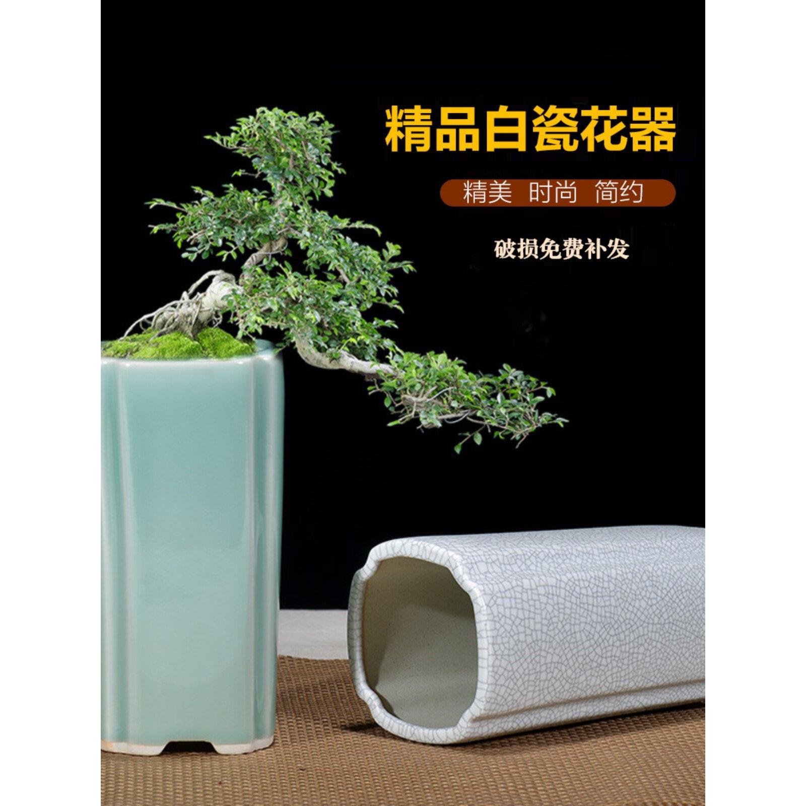 紫砂花盆青瓷釉兰花盆高盆多肉盆栽四方六方形签筒悬崖盆景盆白色