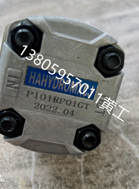 齿轮泵P101RP01G P102RP01G P127RP01G P135RP01G P104RP01G GT