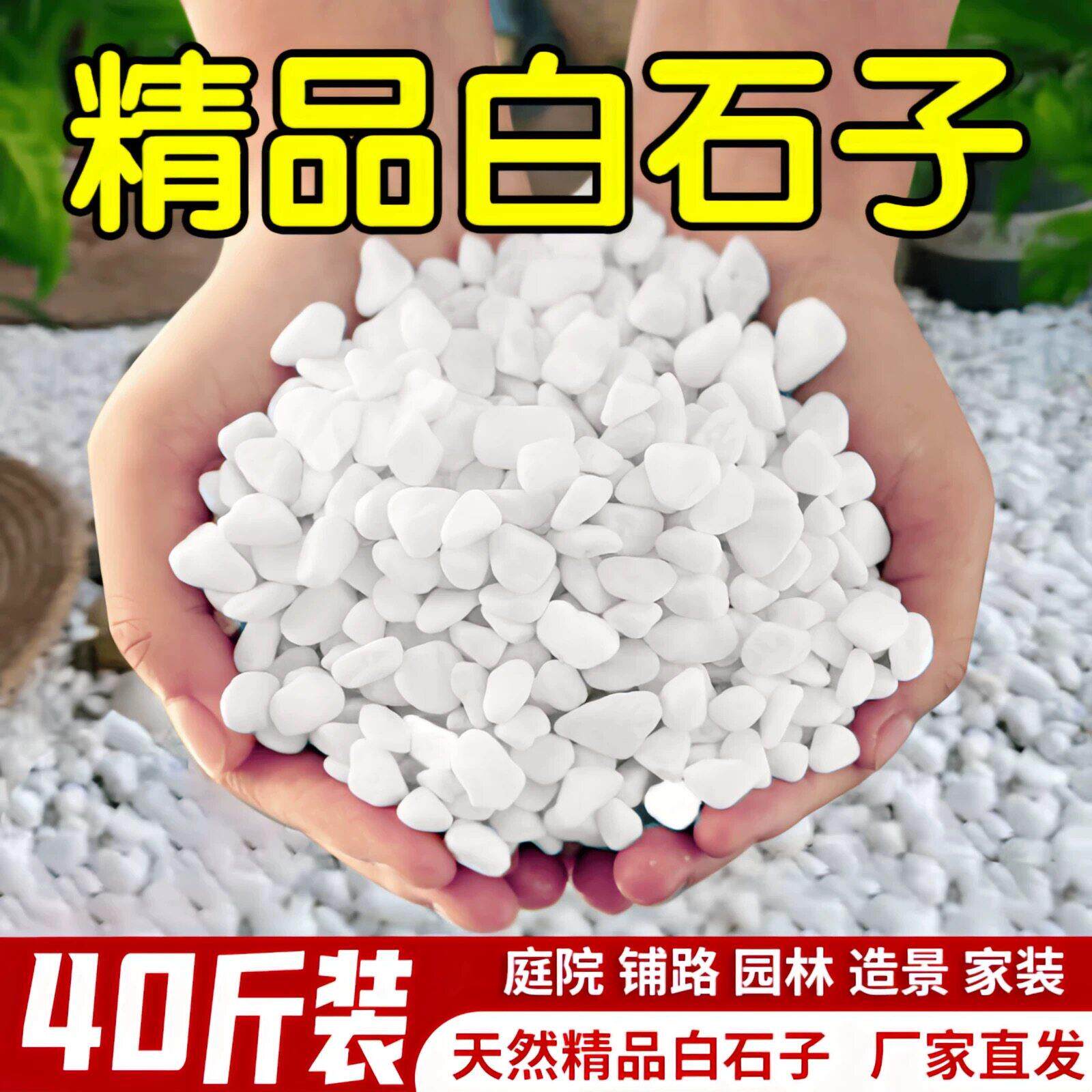 河南白石子白铺地小石头园林花盆铺面石庭院白石头铺路造景白石子