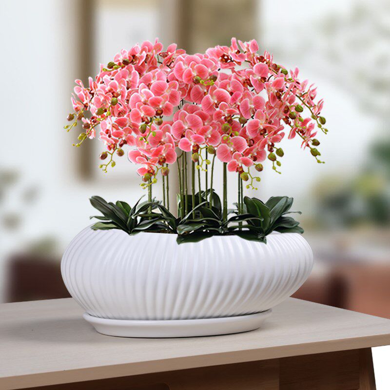 竖纹陶瓷蝴蝶兰月季花盆家用长方形特大号绿植透气阳台客厅带托盘
