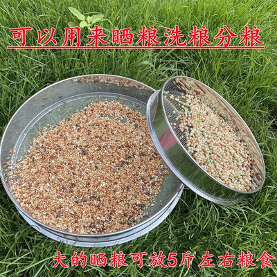 鸽子用品用具 鸽子分粮盘洗粮筛晒粮盆 防止鸽子挑食分开喂分粮晒