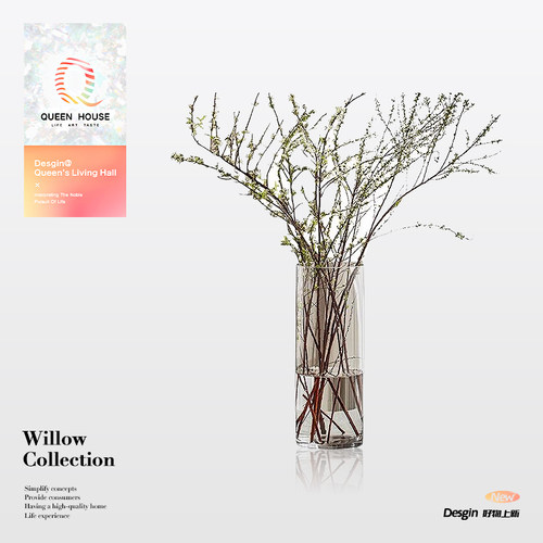 QueenHouse 雪柳  花瓶玻璃客厅摆件插花器透明马醉木花器器皿