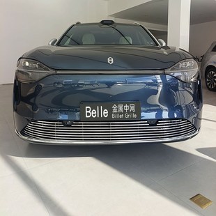 专用中网装 件增程版 饰条外观用品亮条 问界M9防虫网改装 适用2024款