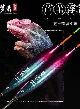 梦者变色龙芦苇浮漂S01加粗醒目高灵敏度防走水抗风浪水库S08鱼漂