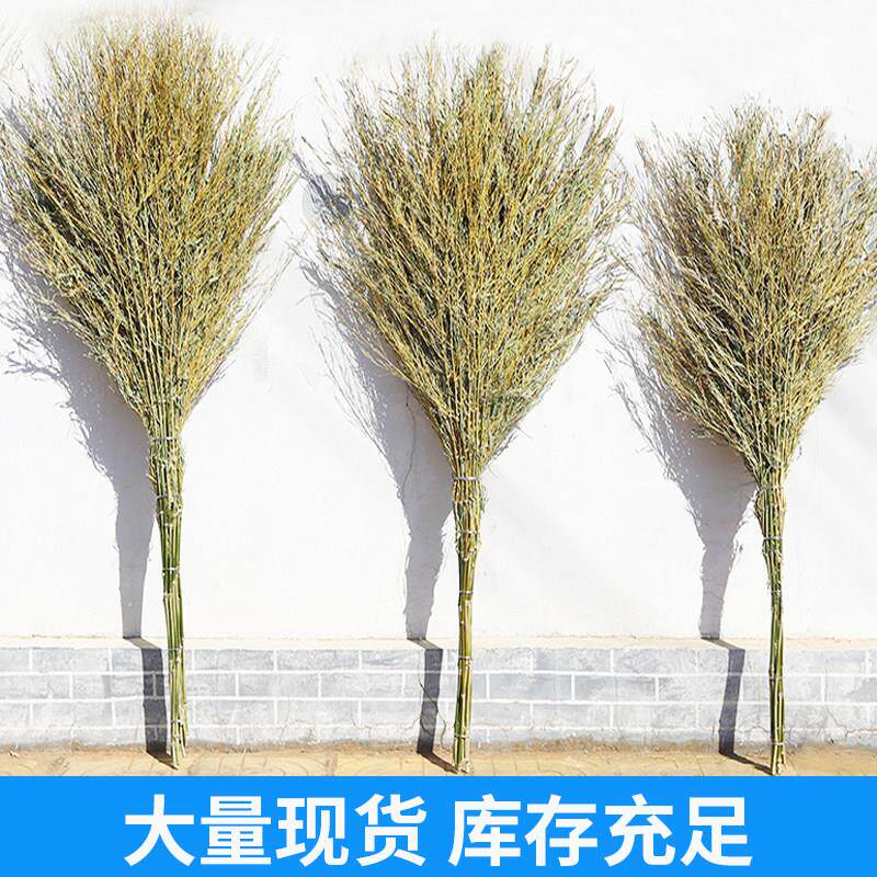 大扫把户外竹扫把环卫竹扫帚大扫把竹子马路扫竹制家用扫地庭院子