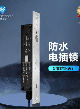 YLI/意林电子YB-200IP智能小区办公楼门禁系统电锁IP66防水电插锁