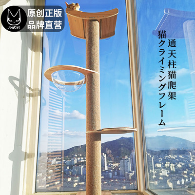 JoyCat通天柱猫爬架吸盘猫窝猫树猫抓柱猫用品小型大型实木多层板