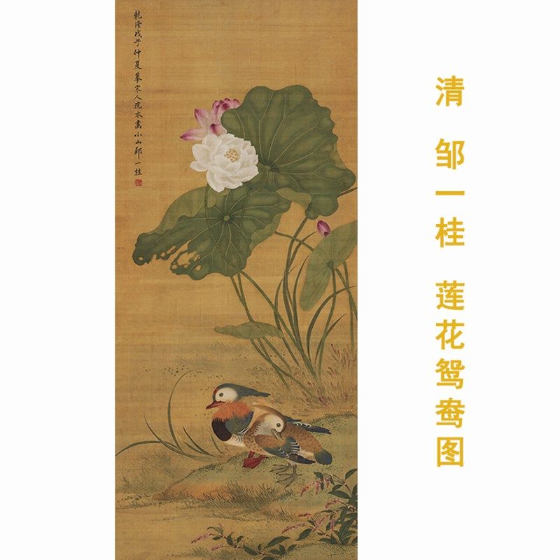 邹一桂莲花鸳鸯图清朝古代工笔花鸟绘画装饰打印高清临摹学习画稿