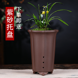 宜兴紫砂春兰建兰蕙兰矮兰君子兰兰花专用花盆室内仿古陶瓷花盆