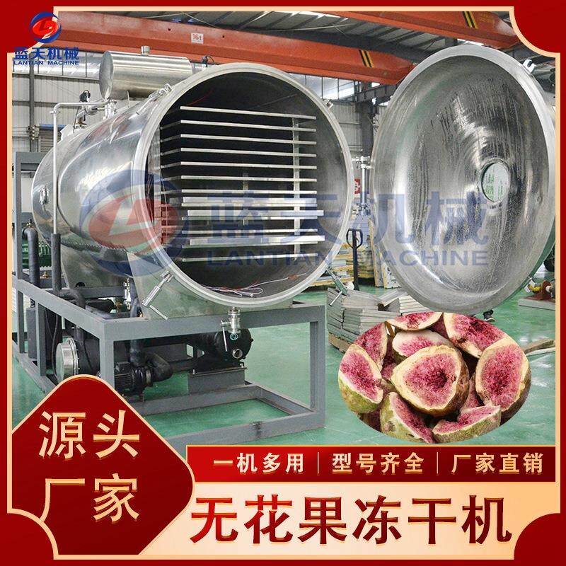 大型无花果冻干机 全自动水果脆无花果干真空冷冻干燥机 20平商用