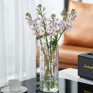 富贵竹花瓶玻璃大号透明水养百合雪柳吊钟马醉木插花摆件客厅简约