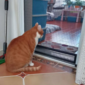 防猫防鼠门帘猫抓围栏封窗折叠护栏推拉式 伸缩跳窗网拦猫宠物纱门