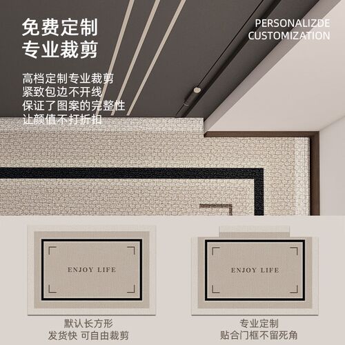 轻奢高级感入户门地垫耐脏防滑门口进门脚垫子免洗地毯家用可裁剪