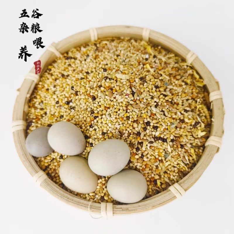 芦丁鸡蛋食用现捡先发网红芦鸡蛋五谷杂粮喂养宝宝老人爱吃营养品,宠物/宠物食品及用品,宠物鸡,淘宝优惠券,粉丝福利购,淘宝优惠卷