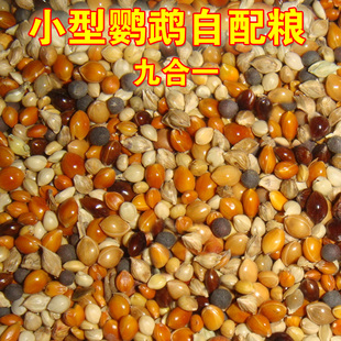 自配鹦鹉鸟粮九合一文鸟珍珠虎皮小型鸟饲料混合粮食一份五斤包邮