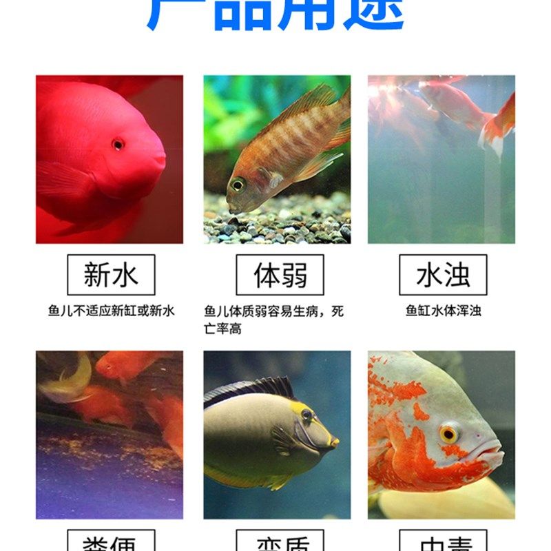 鱼歌硝化细菌水族鱼缸净水剂水质稳定剂消化细菌液体杀菌水清水剂,宠物/宠物食品及用品,硝化细菌,淘宝优惠券,粉丝福利购,淘宝优惠卷