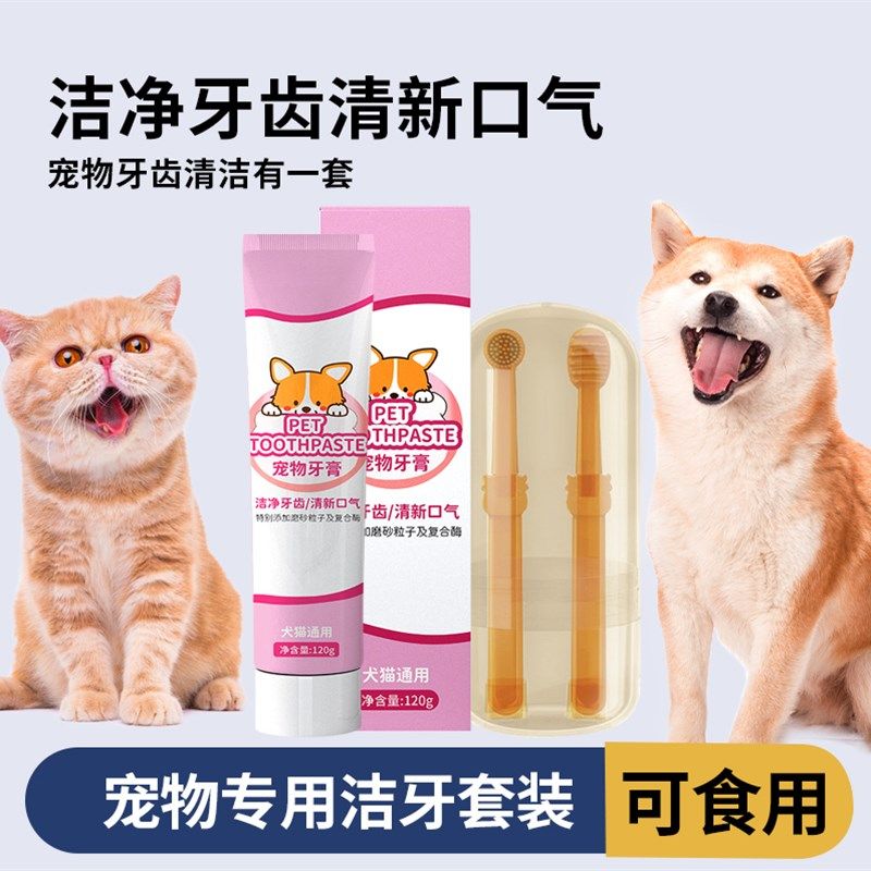 宠物牙刷牙膏套装可食用狗猫咪口腔清洁清除污垢除异味牙口结臭石,宠物/宠物食品及用品,猫狗牙膏/牙具,淘宝优惠券,粉丝福利购,淘宝优惠卷