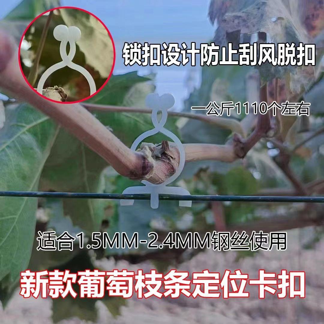 免拆卸葡萄绑枝卡猕猴桃绑枝扣果树固定卡子挂钩蓝莓枝条塑料扎丝