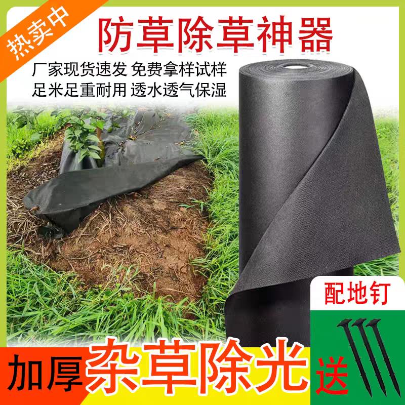 不织布布防草布除草布耐用新型果园地膜果树专用地布地钉庭院盖