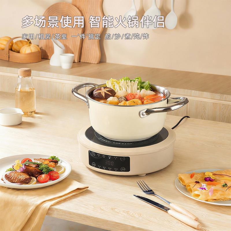 1500W大功率新款烧水壶电陶炉围炉煮茶器家用旋钮调温定时花茶炉