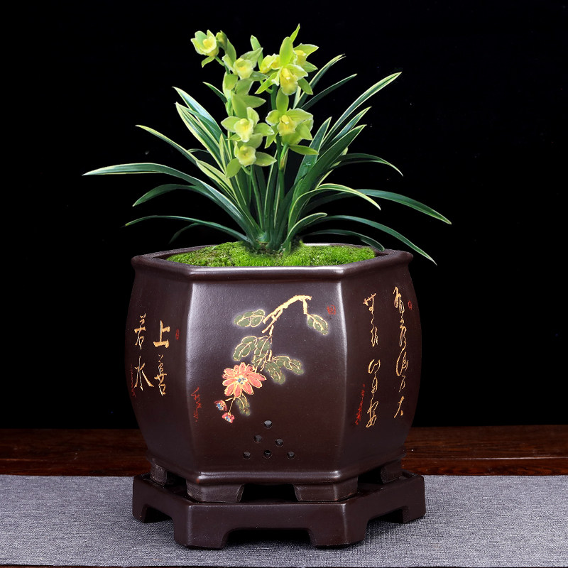 紫砂兰花盆高档手工六方陶瓷君子兰盆景盆室内桌面兰草盆带底座