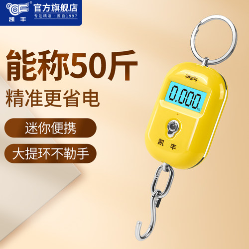 精准迷你手提电子秤高精度小型便携式吊秤弹簧秤家用钩称随身小秤