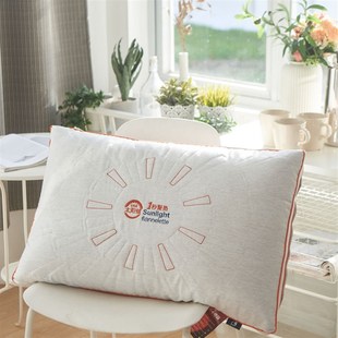 定型枕头大人枕芯不塌陷不变形偏硬一对家用高枕护颈椎助睡眠舒适