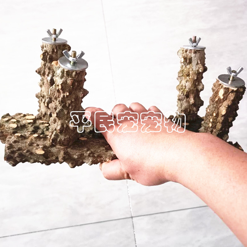 花椒木站棍 鸟笼顶架子 灰鹦鹉站架虎皮牡丹鸟架磨爪站杠图片