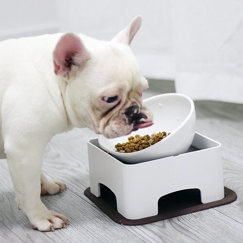 狗狗碗法斗专用碗斜口短鼻犬陶瓷餐桌扁脸防滑巴哥狗食盆宠物用品