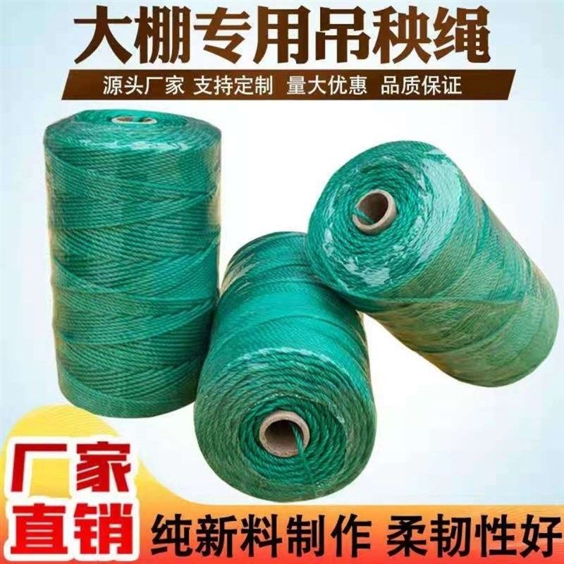 ll大棚蔬菜辣椒黄瓜西红柿吊蔓绳吊秧绳熟料爬藤网拉绳尼龙吊绳吊,农用物资,树木移植保护网,淘宝优惠券,粉丝福利购,淘宝优惠卷