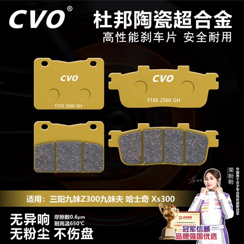 三阳九妹Z300九妹夫哈士奇XS300