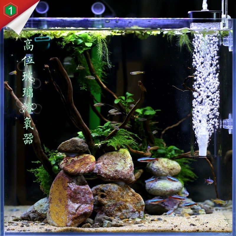 田园漫步鱼缸高位水晶玻璃溶氧器水族增氧内置过滤器透明气罩加氧,宠物/宠物食品及用品,过滤设备,淘宝优惠券,粉丝福利购,淘宝优惠卷