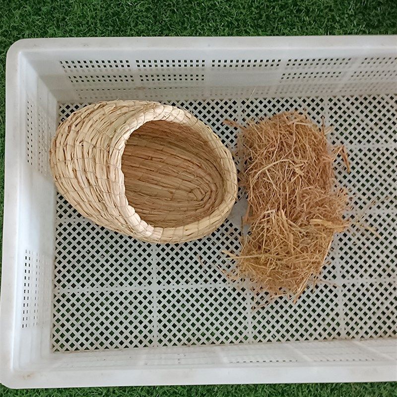 画眉稻草窝鸟巢鸟窝四季冬天保暖繁殖睡觉鸟具夏天鸟笼子配件用品,宠物/宠物食品及用品,鸟禽其他,淘宝优惠券,粉丝福利购,淘宝优惠卷