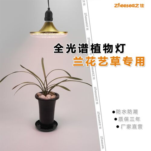 兰花艺草兰草植物补光灯多肉全光谱绿植花卉专用生长室内大棚
