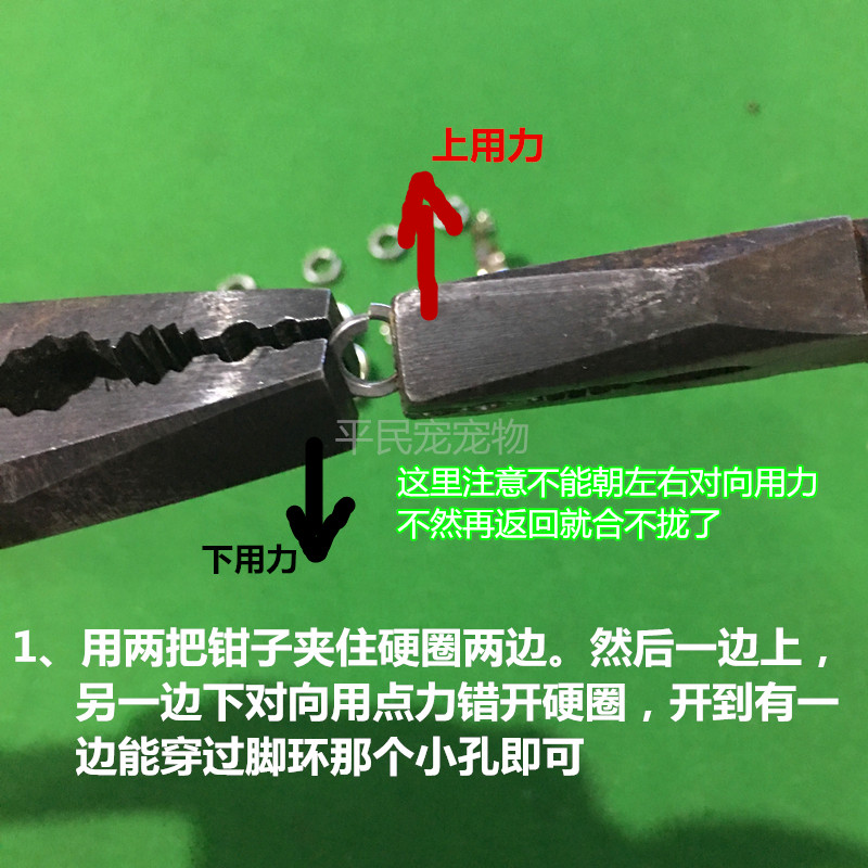鸟类脚环 铜制铃铛宠物好运铃铛纯铜平安福王铃铛鹦鹉玩具
