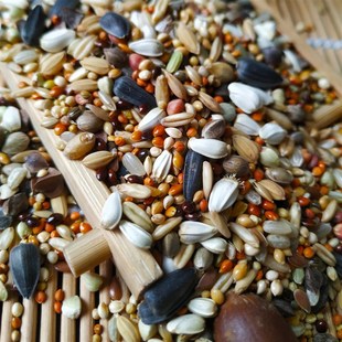 鹦鹉粮16合1玄凤横斑太平洋中小型鹦鹉粮鸟食鹦鹉饲料鸽粮5斤包邮