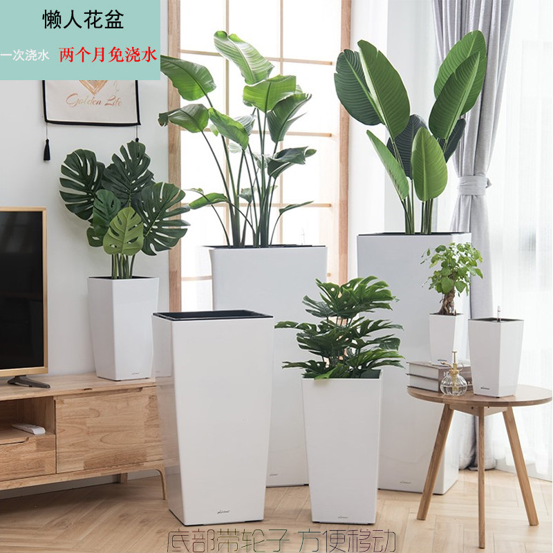 北欧风大花盆方形高款高筒塑料客厅落地金钱树龙血树懒人盆自吸水