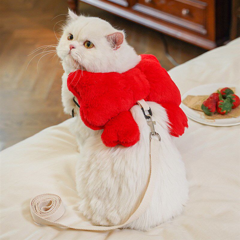 猫咪牵引绳狗狗胸背带蝴蝶结小型犬猫胸背带金渐层防挣脱外出绳子,宠物/宠物食品及用品,猫牵引绳,淘宝优惠券,粉丝福利购,淘宝优惠卷