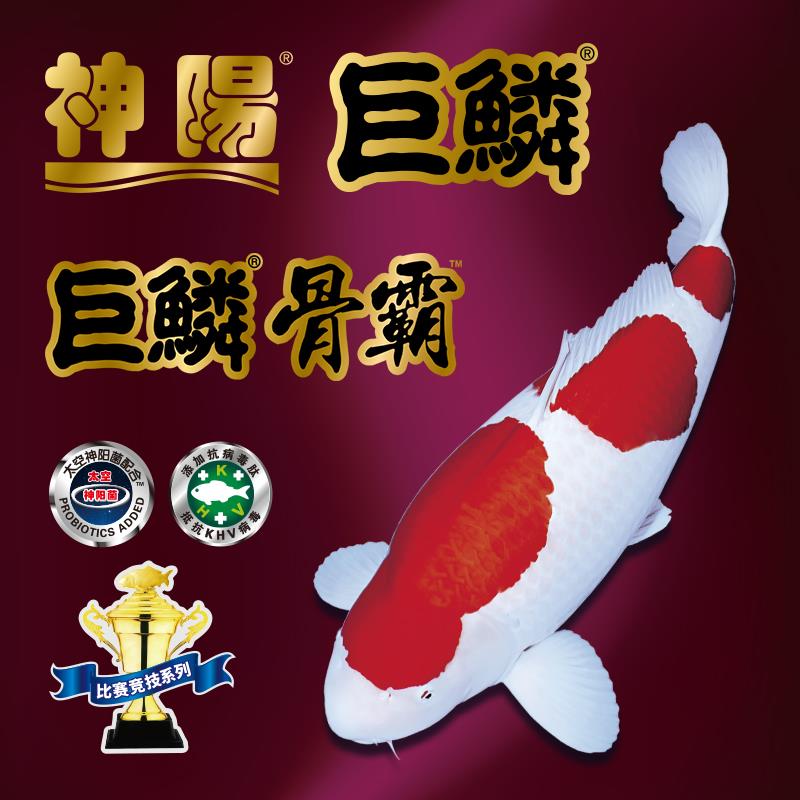 鱼食神阳巨鳞赛级锦鲤育成增体增色颗粒鱼粮易消化鱼10公斤饲料