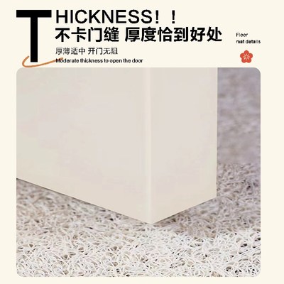 入户门地垫进门大门口家用脚垫可裁剪耐脏丝圈垫子轻奢高级感门垫
