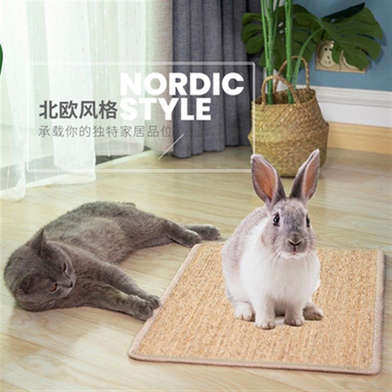 兔子磨爪板宠物解闷抓板防抓专用磨指甲刨刨垫兔子专用磨爪子神器,宠物/宠物食品及用品,兔兔脚垫,淘宝优惠券,粉丝福利购,淘宝优惠卷